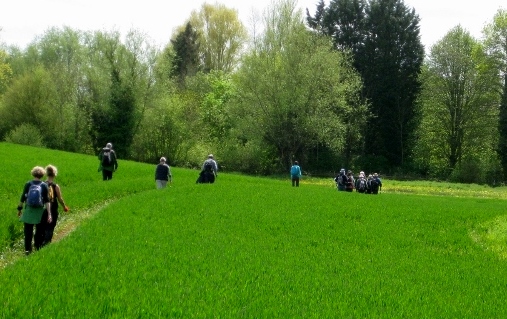 Crops are springing into life